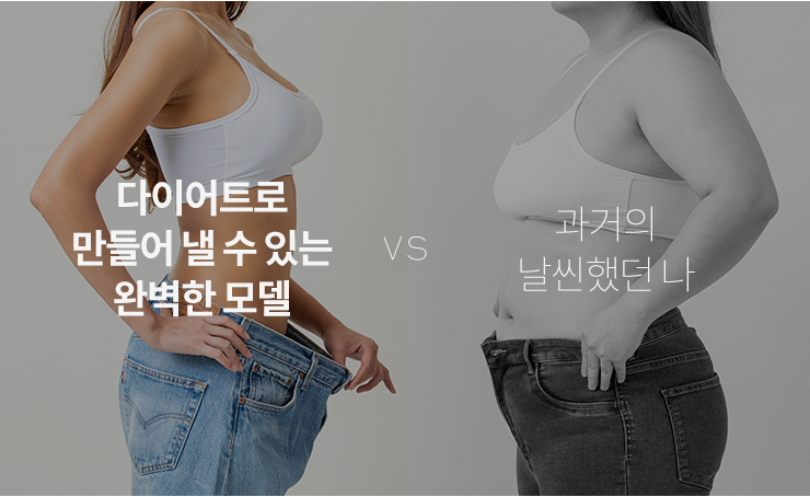 다이어트로 만들어 낼 수 있는 완벽한 모델 vs 과거의 날씬했던 나